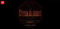 官网上线定档 2026，《THE DUSKBLOODS》开启 FS 社多人动作新纪元